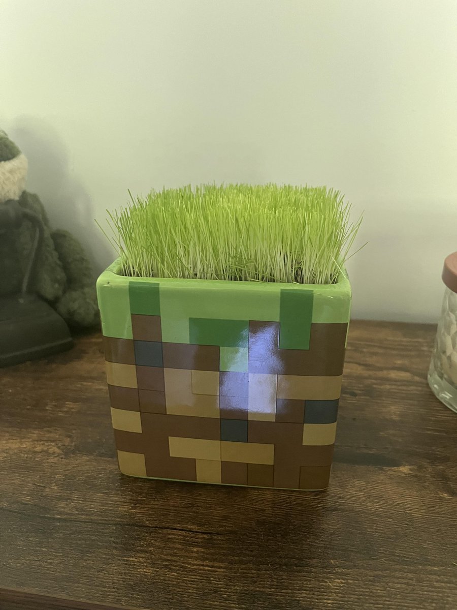 Karma Minecraft tweet media