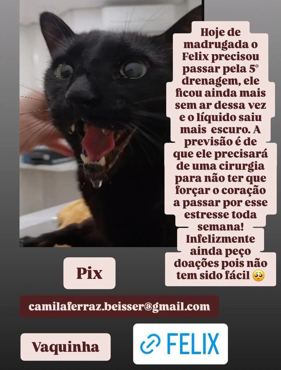 ju ✨️ woosan!au no fix. tweet media