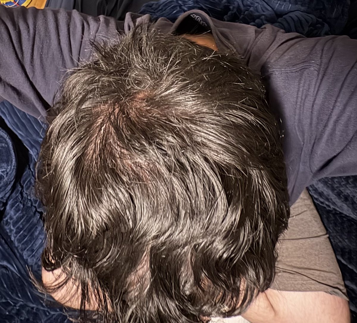 KapsAdam2541's tweet photo. @televisualities @R0ttenStrawbrry @DivineFeminin33 @cosmepolitics @caramelcolored I have hair. This is my hair. https://t.co/QGfWMGFXy7