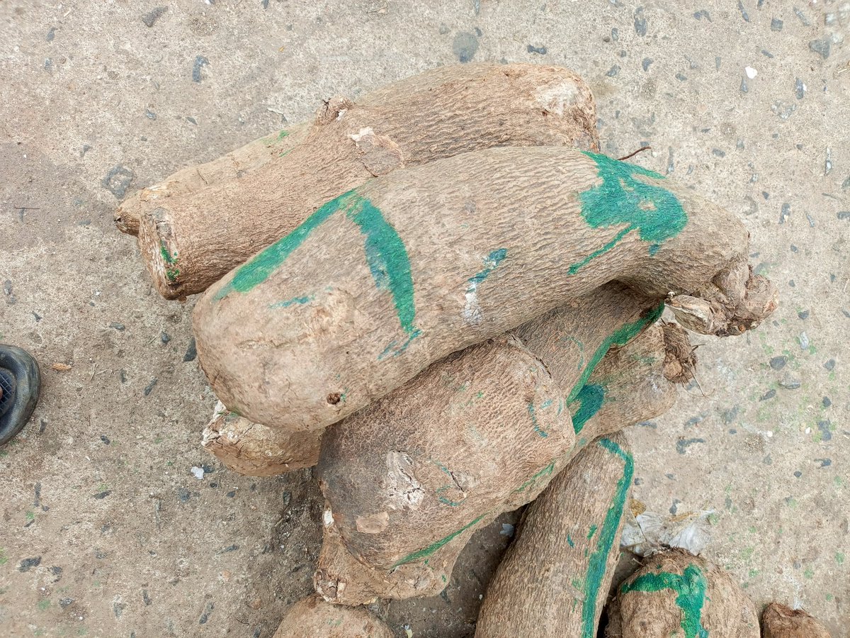 Mansa Foods Deliveries tweet media