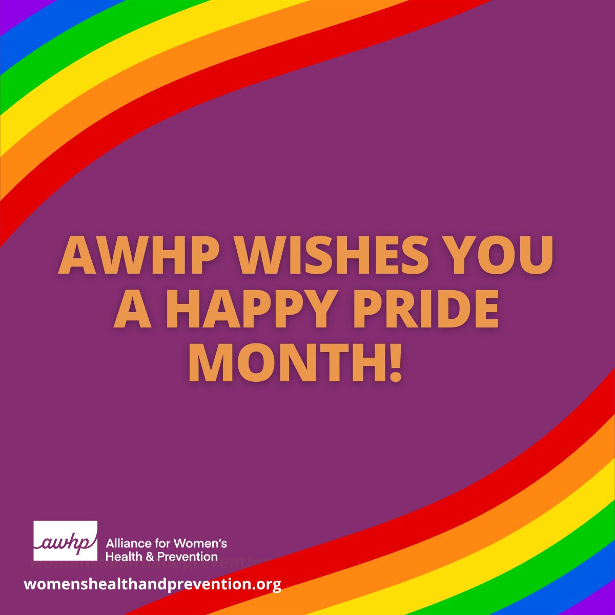 AWHPOrg's tweet photo. AWHP wishes everyone a happy Pride month! Did you know that lesbian and bisexual women have a greater risk of breast cancer, among other diseases? It’s important for all women to get the preventive care that keeps them healthy. Learn more: https://t.co/w5nbom4rHR https://t.co/FwazHaSytb