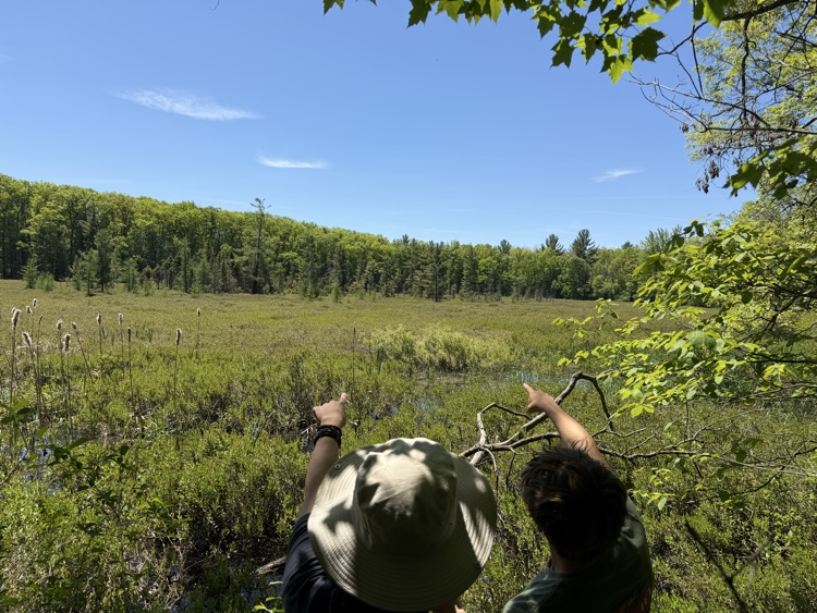 MCCSpartans1's tweet photo. Last Friday, Mr Weinert’s Botany Class took a field trip to Crystal Valley to investigate Bogs and Creek Ecosystems.  Here are some photos of unique plant life at the bog they visited, including a pitcher plant and sundew which are both carnivorous. https://t.co/Roi4oEvjwv