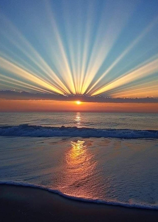 melaleonarda's tweet photo. 𝕃𝕠𝕧𝕖 ℕ𝕒𝕥𝕦𝕣𝕖𝕫𝕒: ℍ𝕖𝕝𝕝𝕠!!!...𝔽𝕣𝕚𝕖𝕟𝕕𝕤 𝕒𝕣𝕖 𝕥𝕨𝕚𝕥𝕖𝕣 𝕒𝕝𝕨𝕒𝕪𝕤 𝕙𝕒𝕡𝕡𝕪...   
💚𝕎𝕖𝕝𝕔𝕠𝕞𝕖      𝕁𝕦𝕟𝕖.  
💚𝔹𝕖𝕟𝕧𝕖𝕟𝕦𝕥𝕠  𝔾𝕚𝕦𝕘𝕟𝕠.  
💚𝔹𝕚𝕖𝕟𝕧𝕖𝕟𝕚𝕕𝕠 𝕁𝕦𝕟𝕚𝕠. https://t.co/Fy1eNn5vH4
