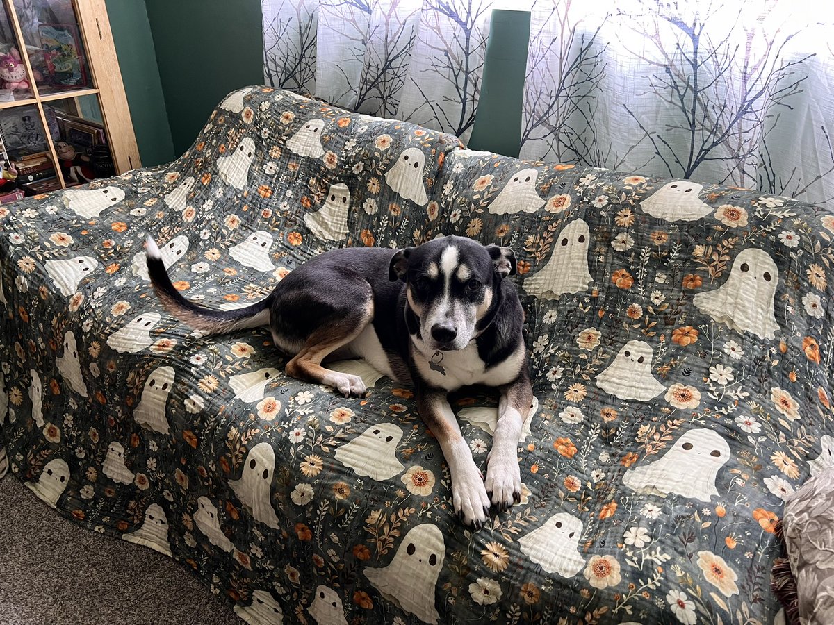 SchadDeb's tweet photo. My fave worker has a new quilt
#LockNationPride
#RapiersReady
#SaveLockwoodAndCo
Lockwood And Co
Portland Row is our home
Just Reckless Enough https://t.co/jO5z0mabBc