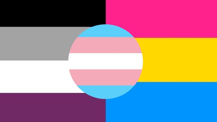 nylhity's tweet photo. Apologies for the lack of tweets lately, I've been giving a lot more love to my parody acc! 

Nonetheless, since it is pride month, I think I should share how I identify!

I am a transmasculine panromantic asexual! :] https://t.co/QrtS4g3iVg