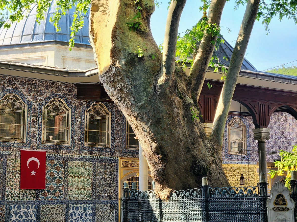 Hur_genc57's tweet photo. Vâsıl olduğunuz beldelerde merkad-ı evliyâyı da ziyâret ediniz; zîrâ onların huzûru, kalblere feyz u safâ verir.. https://t.co/yXAycSPt8f