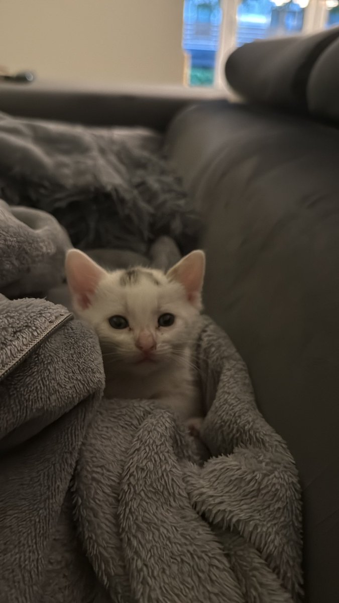patriachayiling's tweet photo. Hello little one ❤️ https://t.co/xOMfUwLUOr