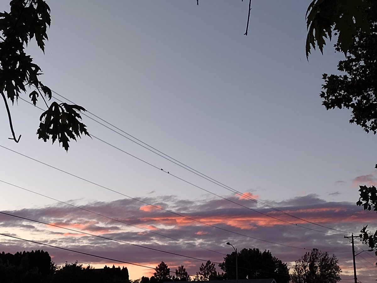 Velexane's tweet photo. Beautiful sunsets lately 🌞 (1st 2 are similar but were 📸 different days) https://t.co/4sCWBN9OX3