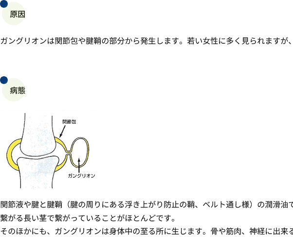 MenBicycle's tweet photo. そうか、わたしは若い女性だったのか
ちょっとだけ支障が最近出てっから整形外科いくか https://t.co/hMDhQCh34B