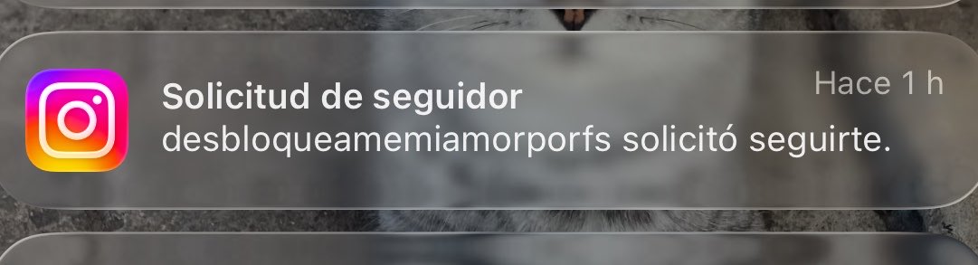 ezequiel tweet media