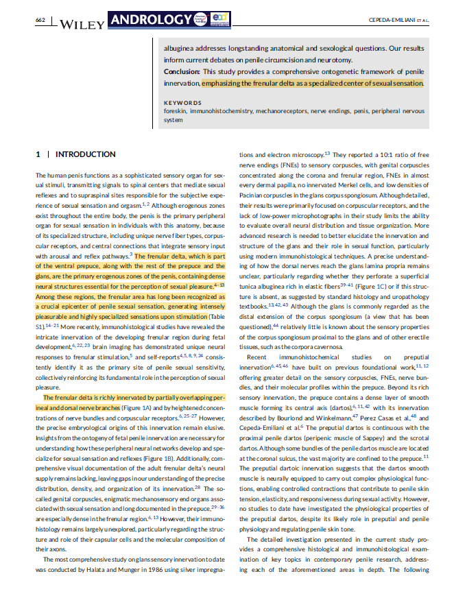 AttorneyClopper's tweet photo. Unfortunately one of the reasons it's difficult to advocate against non-therapeutic genital cutting is because the procedures are not standardized, creating a moving target.

Medicalized genital cutting of the penis removes varying levels of shaft skin and often also removes the frenulum, leading to different results in function and sensation between victims. (The frenular delta was recently confirmed as the penile "G-spot.")

Sounds like varying extent of cutting is unfortunately a problem in medical FGM, too.