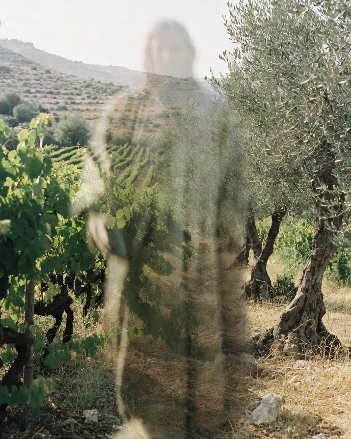 JesusIsMyKingX's tweet photo. SCIENCE JUST PROVED THE BIBLE IS REAL!

Archaeologists have recently uncovered a 2,000-year-old garden full of olive trees and grapevines EXACTLY where the Gospels said Jesus was crucified and buried.

Scientists thought that garden detail was just a “story”.

But, it turns out that the dirt had the receipts all along.

Science just backed up scripture.