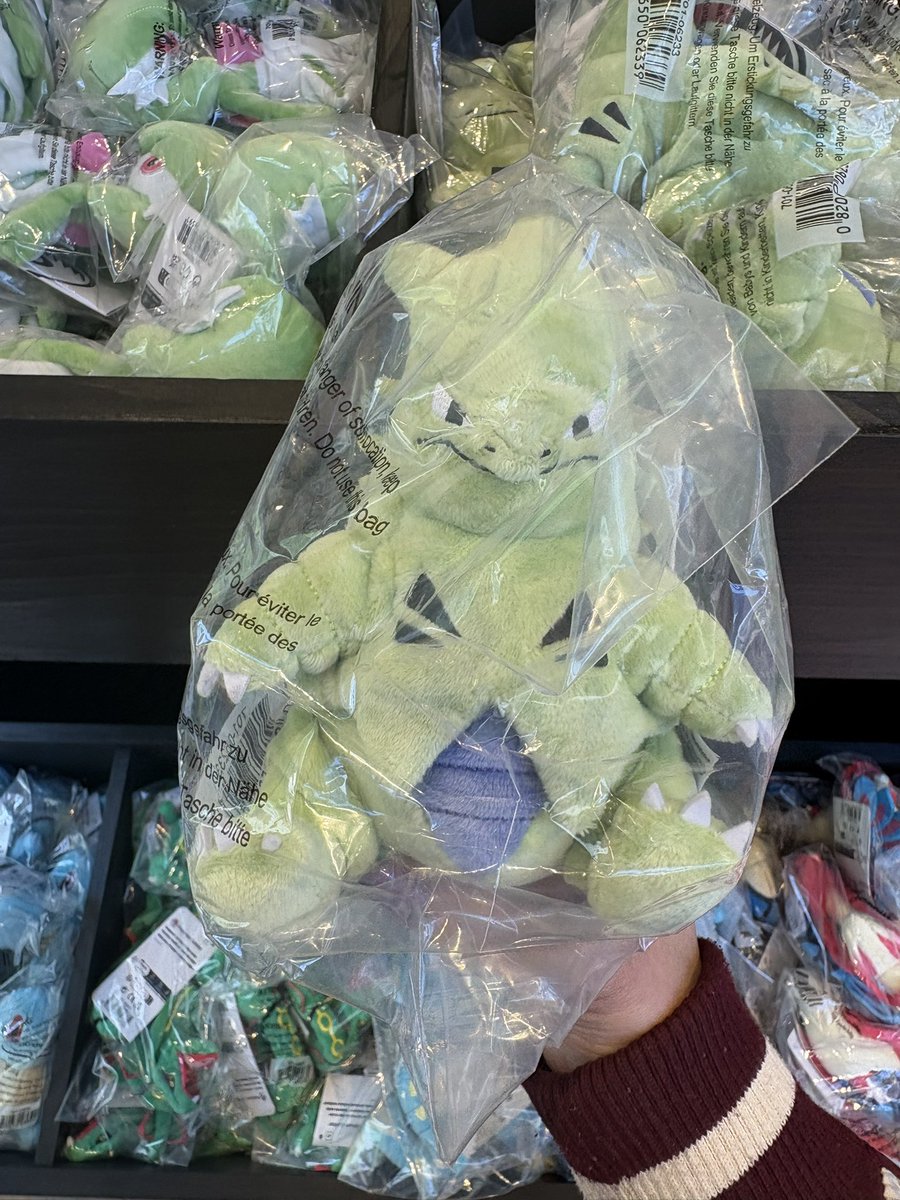 ANiceOakTree's tweet photo. #pokemongofest2026 !! https://t.co/BkWSIcFyEK