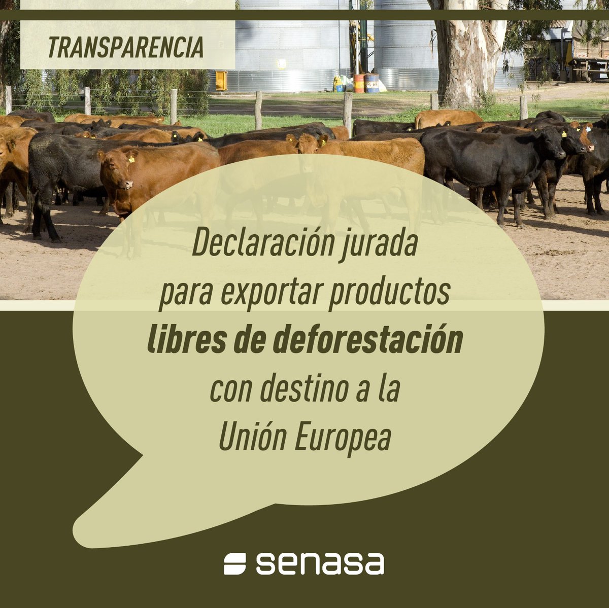 SenasaAR's tweet photo. Los operadores comerciales de exportación de soja y carne vacuna – en principio – con destino a la Unión Europea, deben realizar la Declaración jurada para exportar productos libres de deforestación.

ℹ️ Más información ➡️ https://t.co/BneKAjeWAQ https://t.co/5kYWSrif0Q