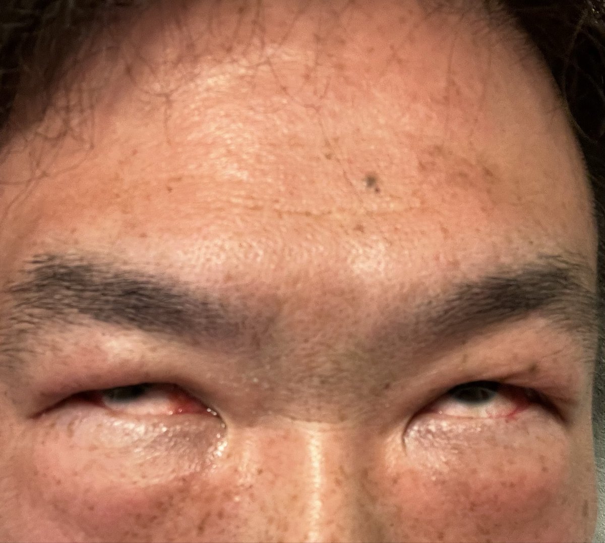 石田まん　（歳男　仮 tweet media