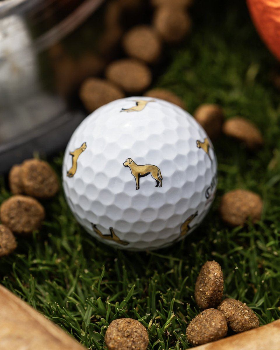 CallawayGolf's tweet photo. Be Top Dog with our Limited-Edition Chrome Tour Dog collection! 🐾 We've got you covered with 6 different breeds to choose from—Golden Retriever, Pit Bull, German Shepherd, Yellow Lab, Corgi, and Dachshund! Tag a dog lover below! 

https://t.co/BWETAdaVxR https://t.co/wbXBmLdyh4