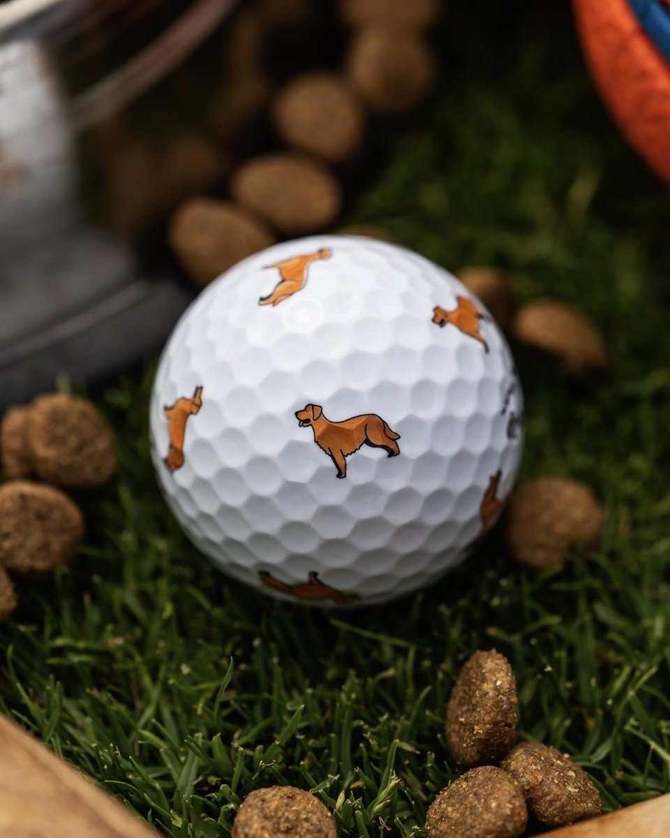 CallawayGolf's tweet photo. Be Top Dog with our Limited-Edition Chrome Tour Dog collection! 🐾 We've got you covered with 6 different breeds to choose from—Golden Retriever, Pit Bull, German Shepherd, Yellow Lab, Corgi, and Dachshund! Tag a dog lover below! 

https://t.co/BWETAdaVxR https://t.co/wbXBmLdyh4