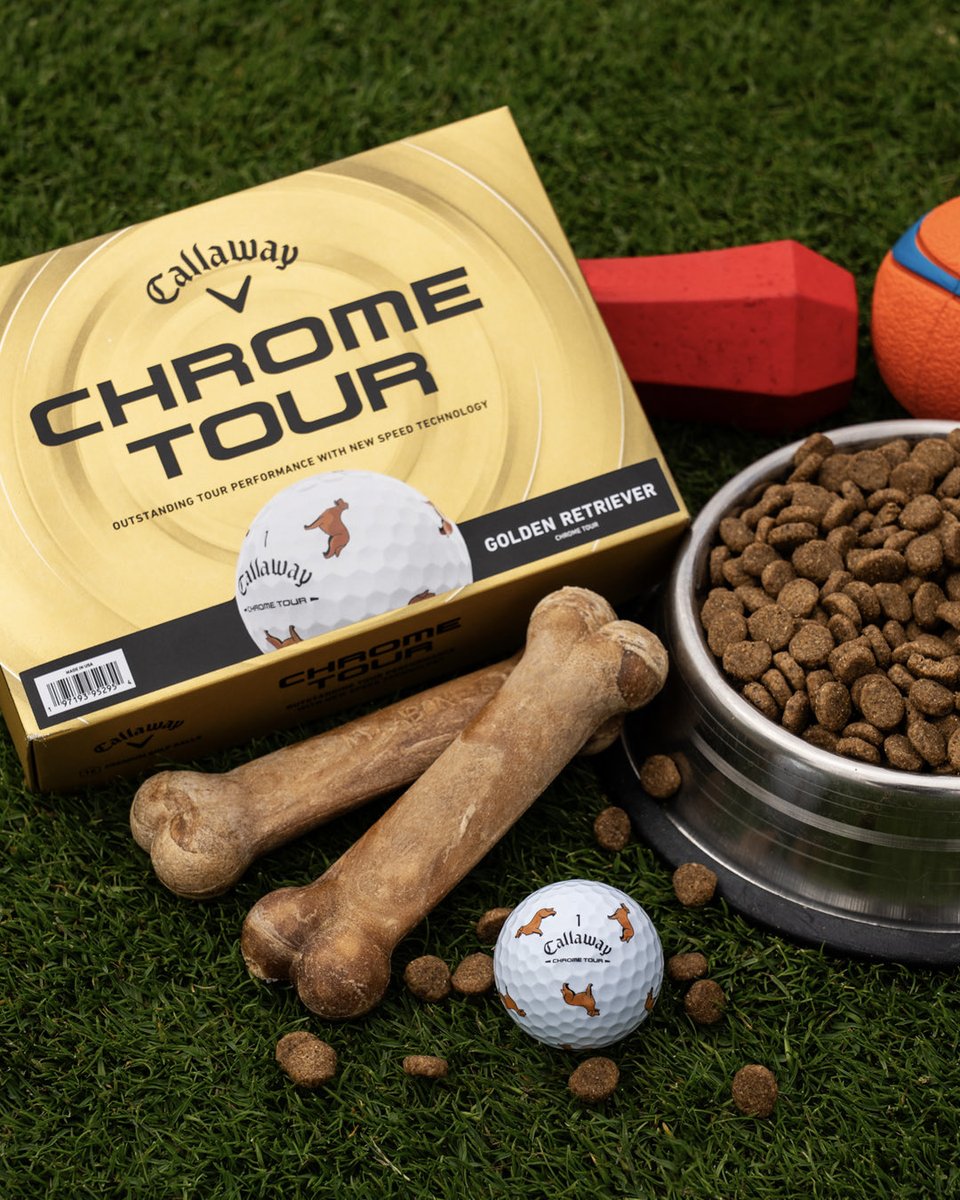 CallawayGolf's tweet photo. Be Top Dog with our Limited-Edition Chrome Tour Dog collection! 🐾 We've got you covered with 6 different breeds to choose from—Golden Retriever, Pit Bull, German Shepherd, Yellow Lab, Corgi, and Dachshund! Tag a dog lover below! 

https://t.co/BWETAdaVxR https://t.co/wbXBmLdyh4