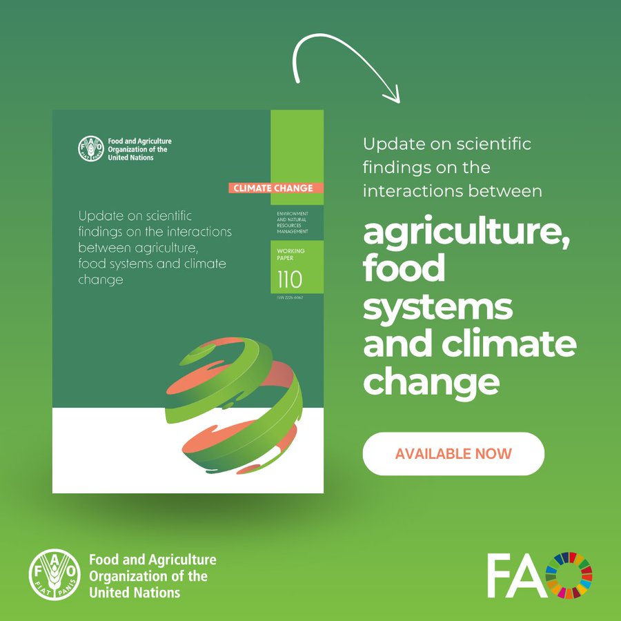 FAOclimate's tweet photo. 🌍 How is climate change reshaping agriculture &amp; food systems? 

This @FAO paper explores complex links between climate change, ag. &amp; food systems:  

🌾 Crops, 🐄livestock &amp; 🐟aquatic food systems
🔬Tech innovations 
🔄Mitigation &amp; adaptation strategies 

https://t.co/fHhNIQS0MR https://t.co/7qwc0RUipc