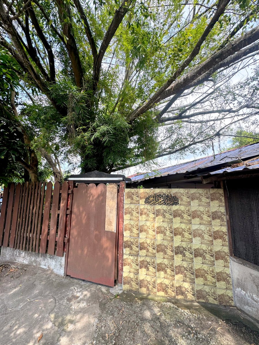 adibhazlami's tweet photo. Rare betul kedai ni.

Dari jalan besar, tak nampak macam restoran pon.

Kedai pulak bukak dari 1130 pagi sampai pukul 2 petang saja.

Also dia hanya terima cash saja. https://t.co/pba4oAcQZL