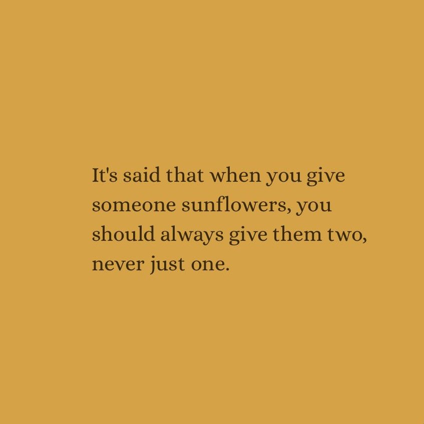 sunflowerchives's tweet photo. Have you heard of the sunflower theory?🌻 https://t.co/rKyIOfyTNP