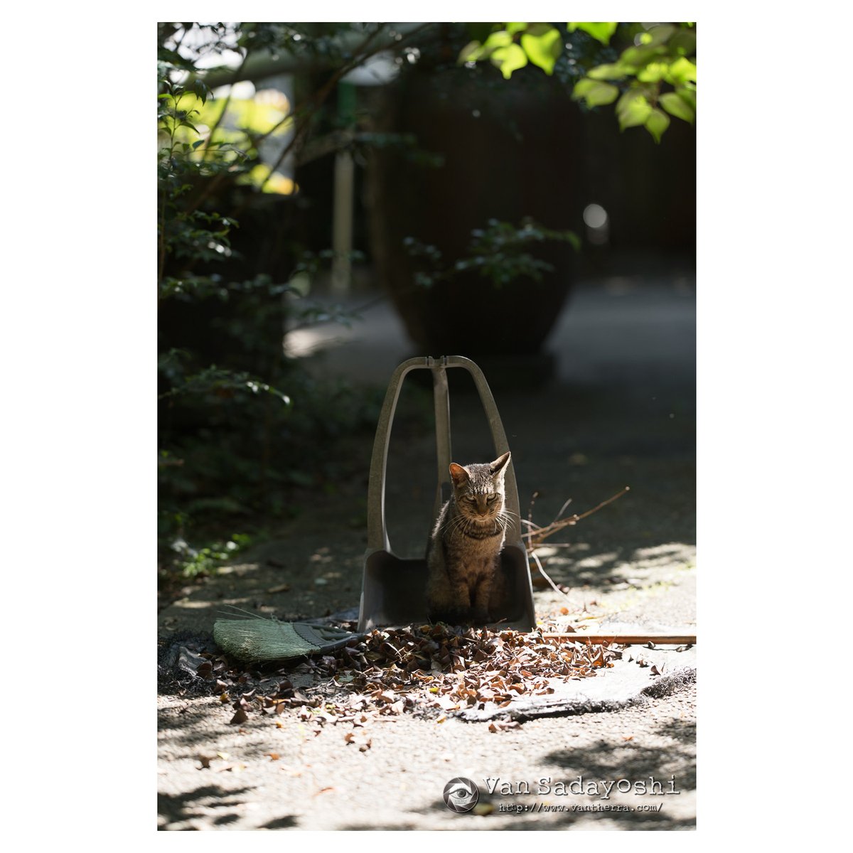 vansjournal's tweet photo. https://t.co/3Pee09FMjK