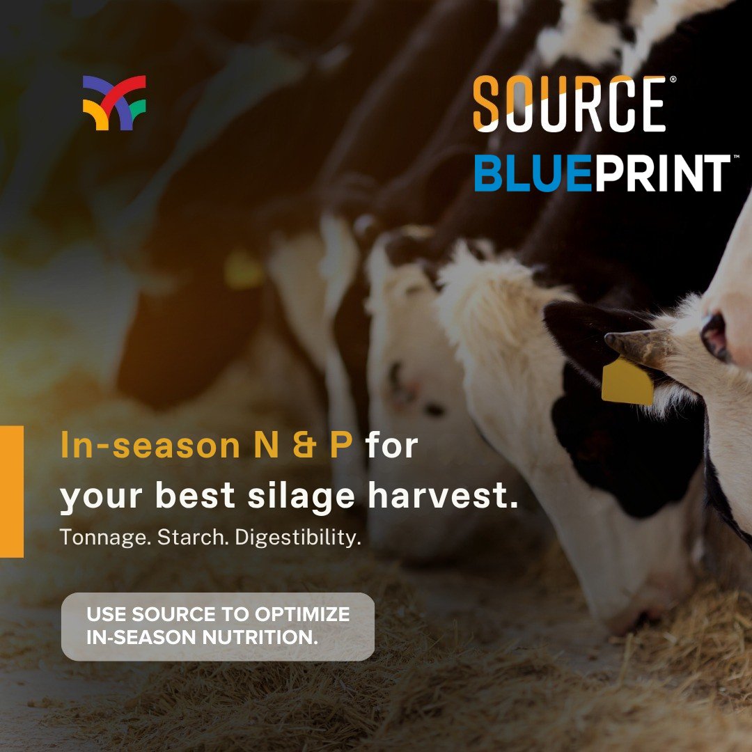 sound_ag's tweet photo. June is National Dairy Month, and growers around the country are using SOURCE + BLUEPRINT for improved biomass and higher nutritional quality for their corn silage.

Learn more and view the performance results: https://t.co/MBO30NIS35 https://t.co/1oZ2Mdk2A8