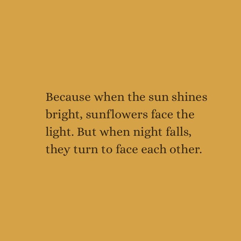 sunflowerchives's tweet photo. Have you heard of the sunflower theory?🌻 https://t.co/rKyIOfyTNP