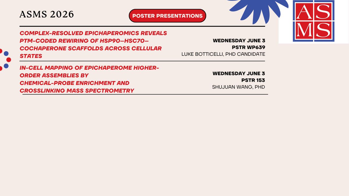 chiosislabmskcc's tweet photo. #ASMS2026, today is the day! Be sure to stop by Shujuan and Luke's posters during today's session.
@asmsnews #LCMS #XLMS #epichaperomics #proteincomplexes #crosslinking https://t.co/0pcZourz5y