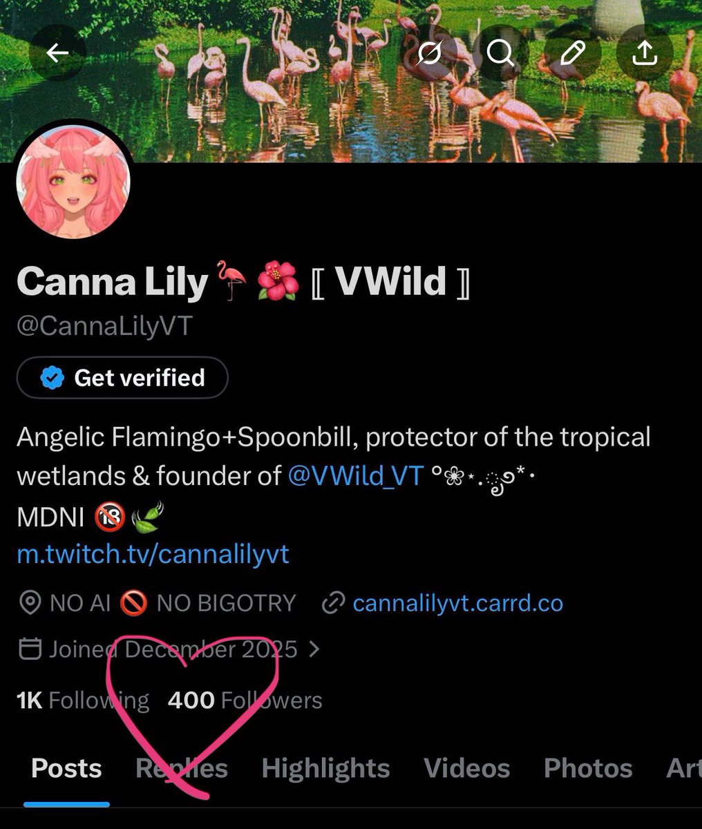 Canna Lily🦩🌺 ⟦ VWild ⟧ tweet media