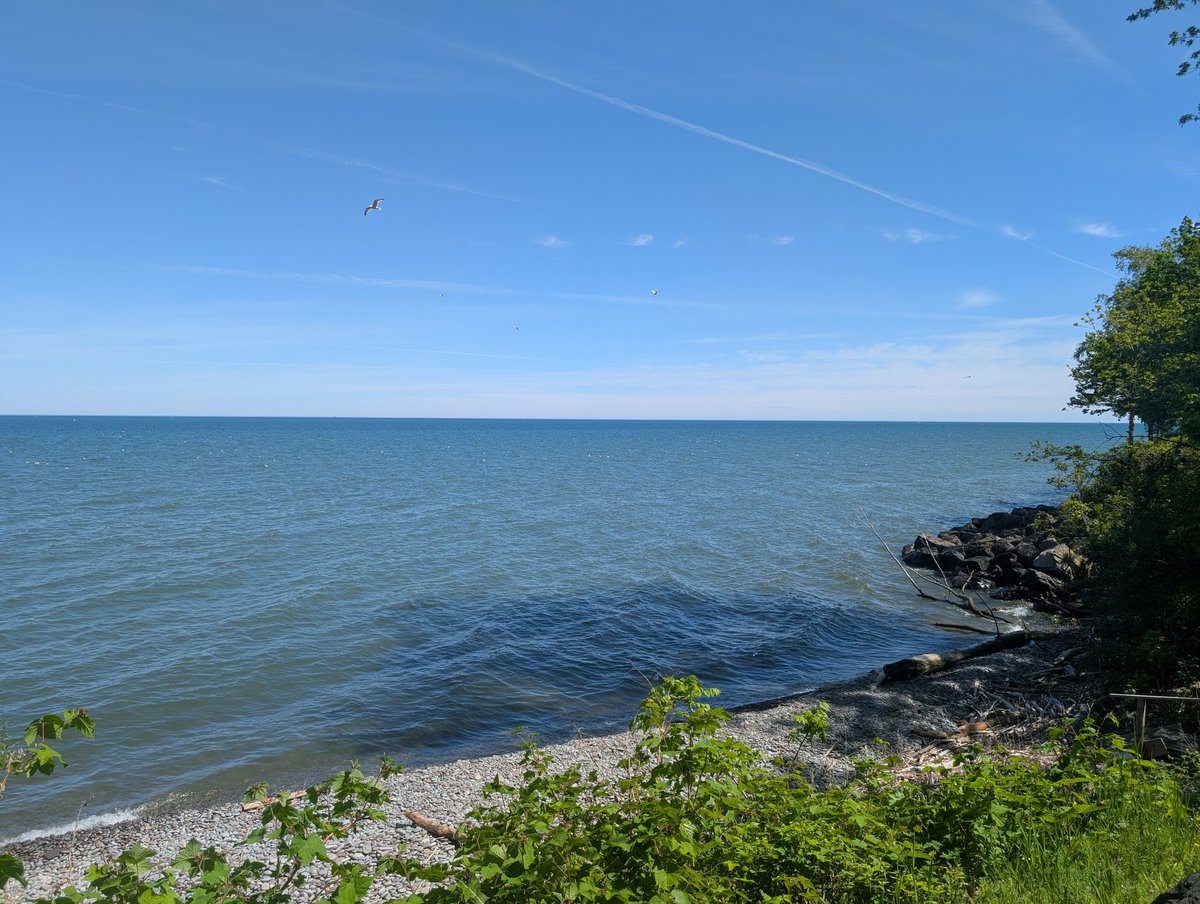 johnperrelli27's tweet photo. @wallace_euan Good morning from Olcott NY. https://t.co/feSDYH27P3