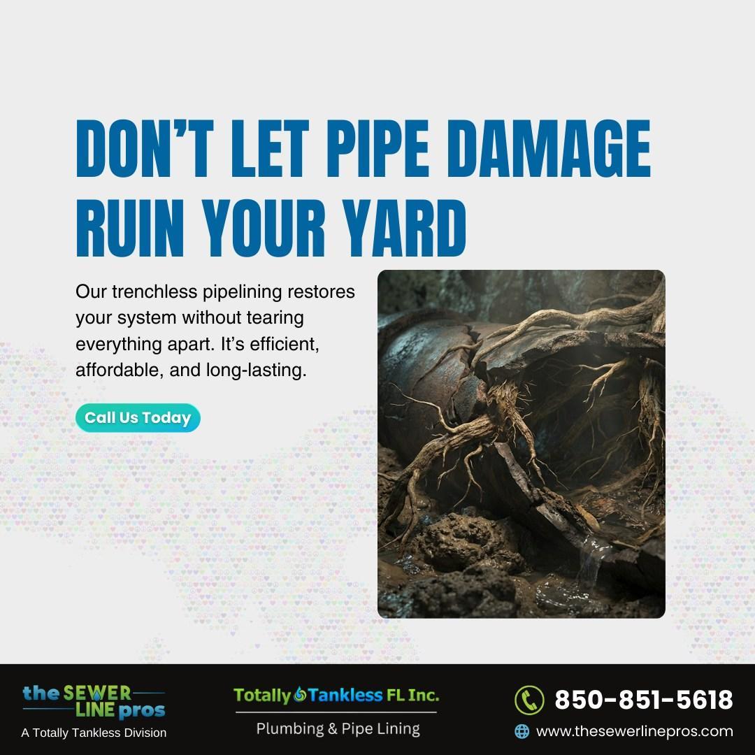 SewerLinePros's tweet photo. 🏡Protect your property while #repairing your pipes the smarter way.

Trenchless #pipelining repairs damaged sewer lines from within—helping preserve your landscaping, driveway, and outdoor spaces without major digging

📞Call: (850) 851-5618
🌐Visit: https://t.co/3d4o6vy3eH https://t.co/vZ1536ZjhH
