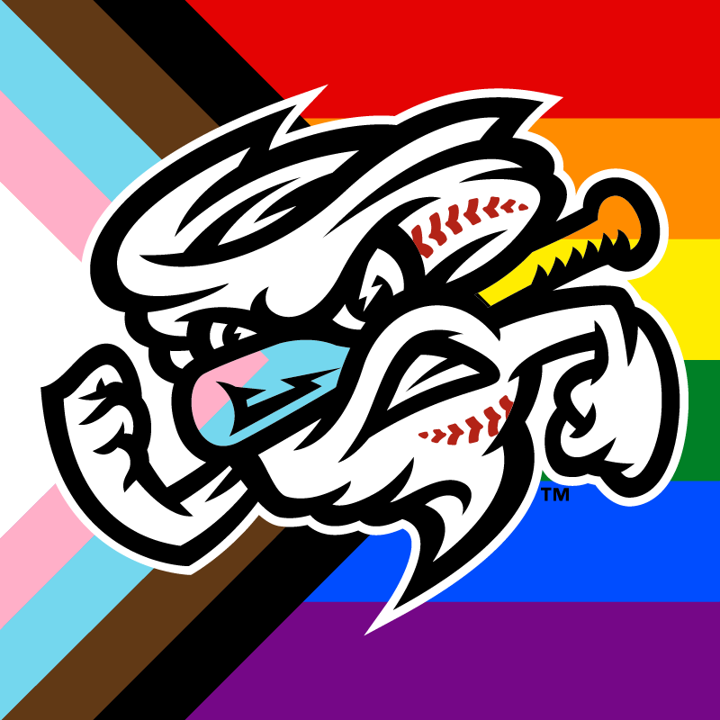 OMAStormChasers's tweet photo. Baseball is for all 🏳️‍🌈

#Pride https://t.co/jqeiC7QDiw