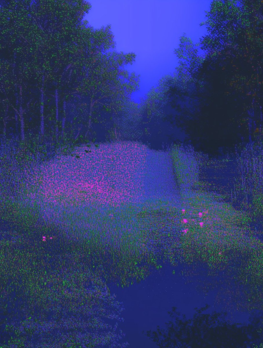 palekirill's tweet photo. listening to the void https://t.co/yv0Uj29OGX