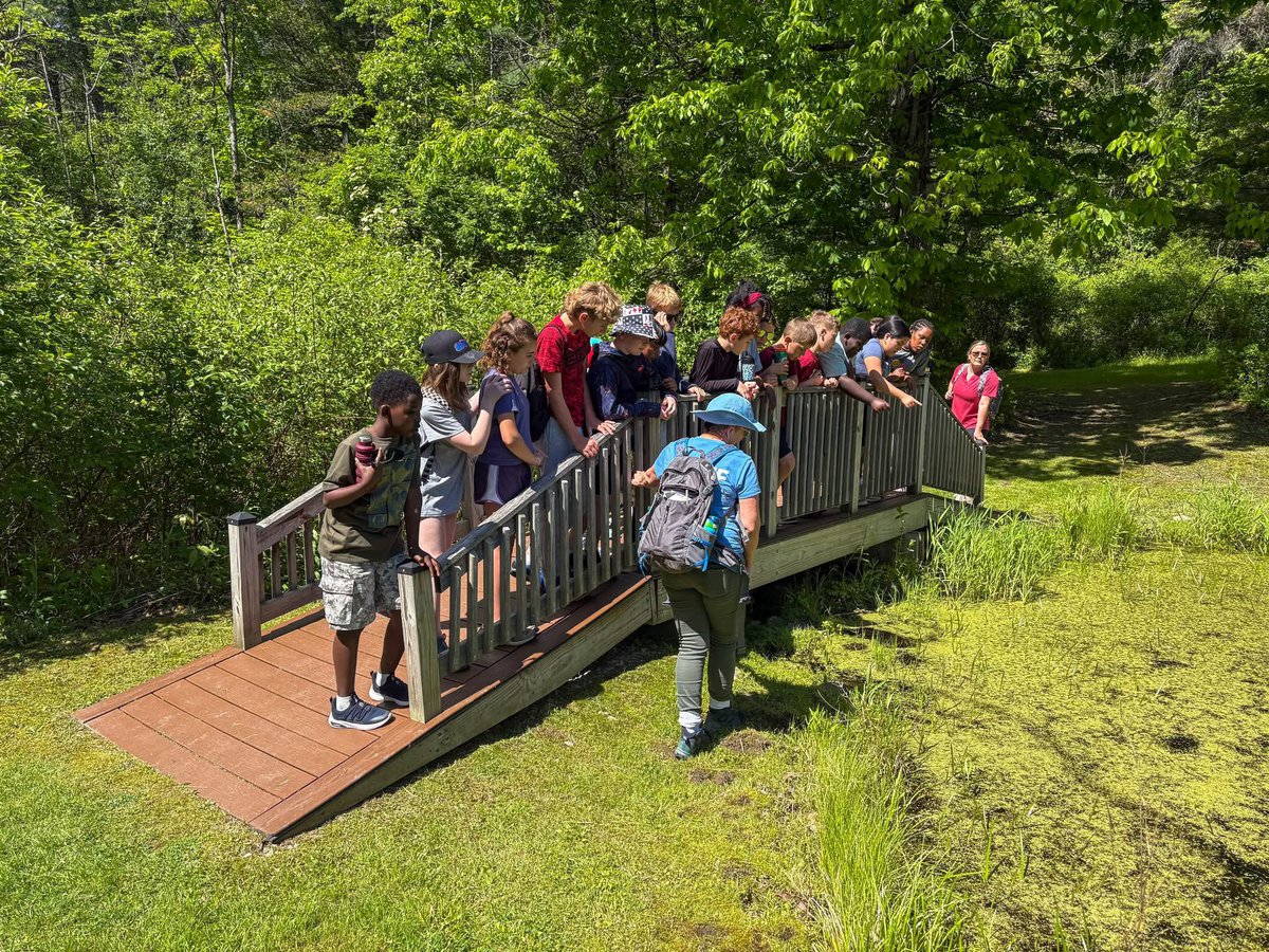 MCCoyCountyExec's tweet photo. What a day of adventure! Lishakill Middle School took over Lawson Lake County Park for an amazing Field Day last week! From hiking through the woods and exploring the lake the students made memories and enjoyed the great outdoors on a beautiful day!

Along the way, students discovered a variety of wildlife and enjoyed spotting different creatures in their natural habitats. From birds chirping in the sky to frogs and snakes poking out of the water, every sighting made the day even more exciting and helped bring the outdoor learning experience to life.

Thank you to our Parks & Recreation staff, Lishakill teachers, and chaperones, but most importantly to the students for bringing the energy and excitement that made for a wonderful day of adventure!