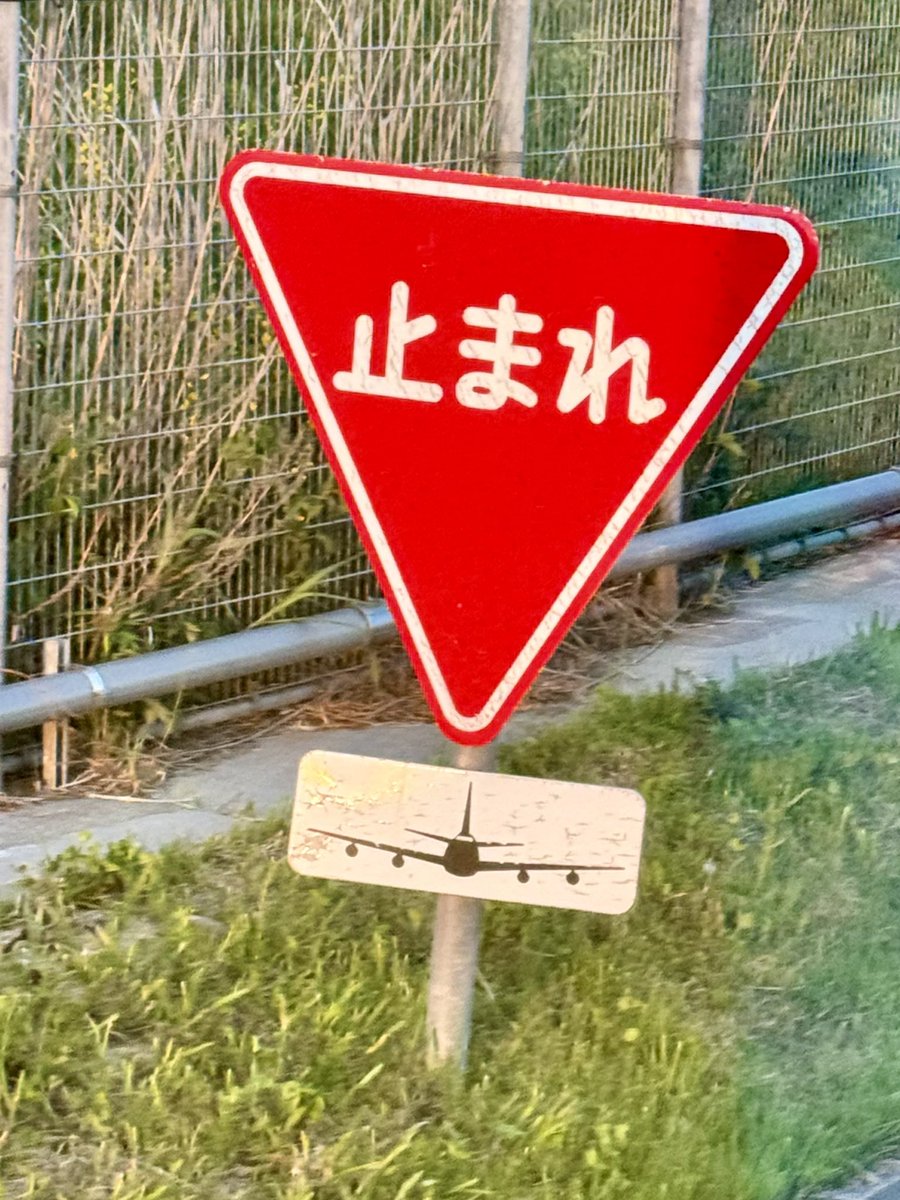 verdandi626's tweet photo. 「5/30（土）函館空港制限エリア内　航空機撮影ツアー」で
通常では走れない
滑走路や誘導路などの飛行場エリア（制限区域）
の外周に沿って設けられる専用道路の
場周道路にあった
止まれの道路標識 https://t.co/PQK4CXxbKo