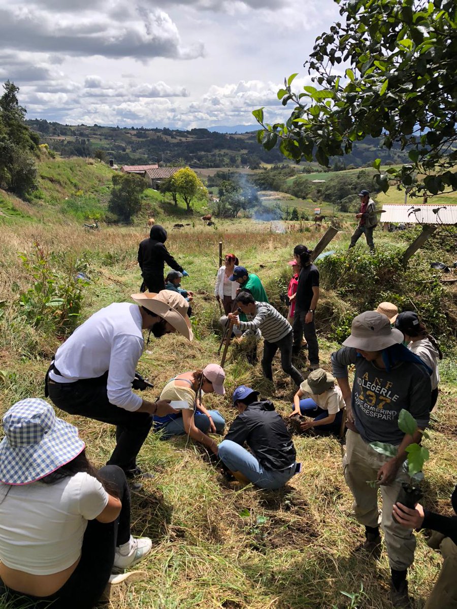 idea_un's tweet photo. ¿De qué hablamos cuando hablamos de agroecología? Hoy a las 12:30p.m. escucha Conexión Ambiental, el programa de radio ambiental del IDEA-UNAL por Radio UNAL 📻. Destacamos las experiencias del Convite Campesino🚜 y el Semillero de Agroecología - UNAL. https://t.co/IqgeYs0R3F https://t.co/6NeiAptDy8