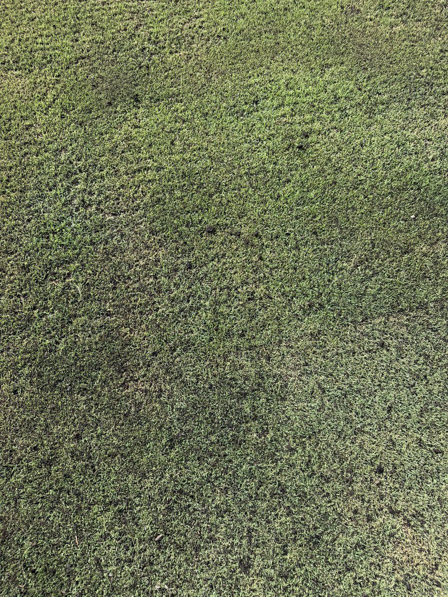 BorRazu13's tweet photo. Our Commander spreading some good stuff today in Palm Beach Gardens. First time seeing it in person @TurfsolutionsFL @JackCreveling @HillenDamian @TurfMech70 https://t.co/vndycWMo6P