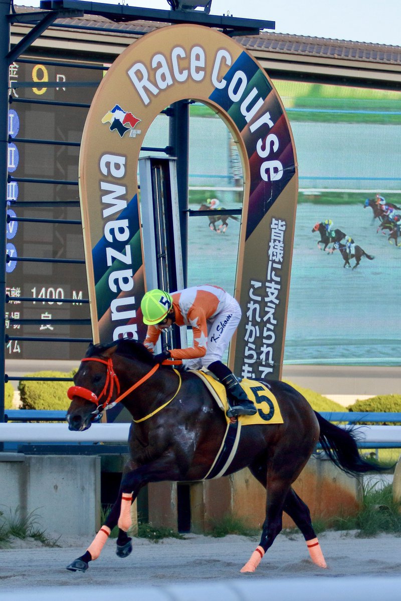 2026.5.31 金沢9R A1-2組 ⑤ハクサンツキミテイ 加藤翔馬騎手騎乗🏇