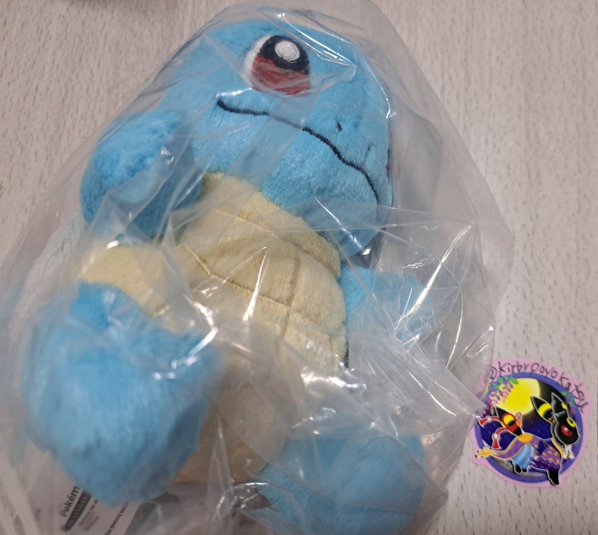 【PSA9】 ゼニガメ　マークあり　あわ r1s2c8t はじめまして、こんばんは 検索より失礼します こちらC賞