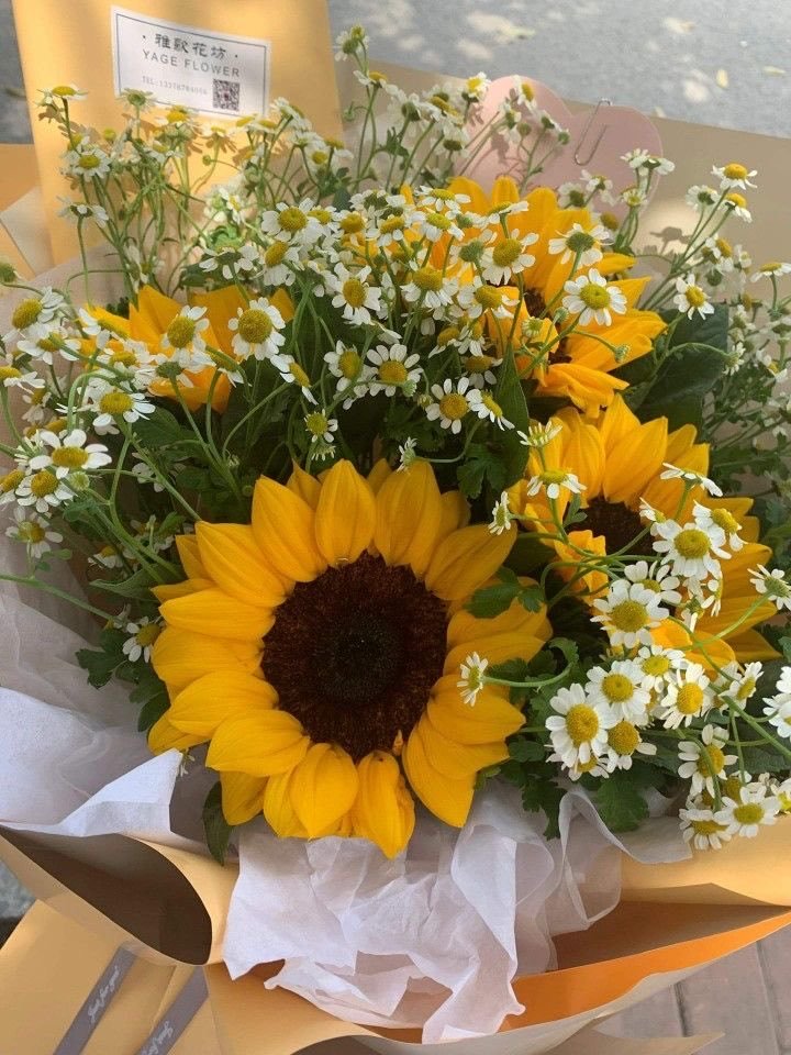 SUNFLOWER 🌻 tweet media