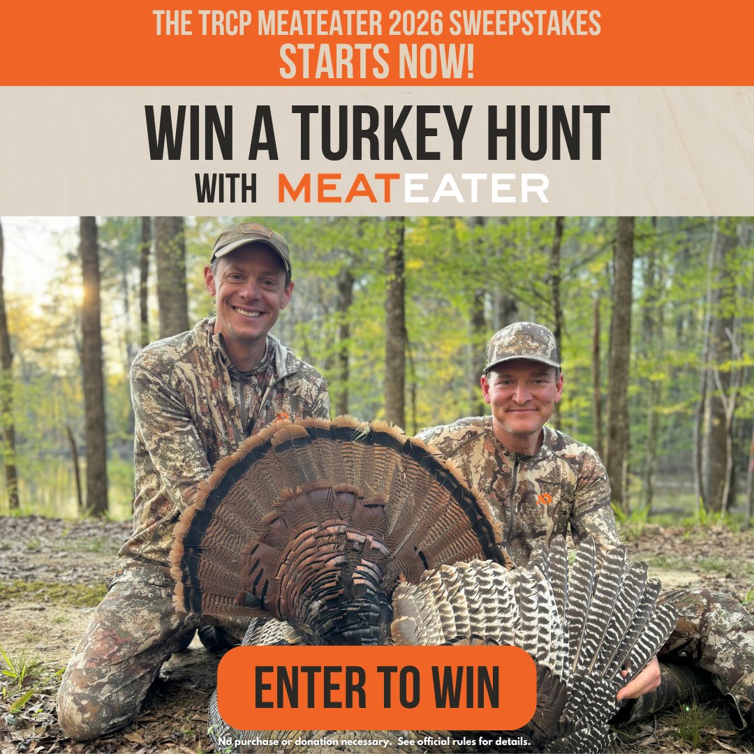TheTRCP's tweet photo. It’s here! The TRCP MeatEater 2026 Sweepstakes is officially open for entries!  

Enter for a chance to win one of three incredible prizes, including a 3-night, 2-day turkey hunt with @MeatEaterTV’s Steven Rinella and Janis Putelis.   

This grand prize is valued at nearly $9,000, and every entry helps support TRCP’s mission to protect access to quality hunting and fishing opportunities for all Americans. 

Enter by midnight ET on July 31, 2025 👉 https://t.co/BxlxdM6Hgb  

This Sweepstakes is not sponsored, endorsed or administered by Facebook, Instagram, YouTube or X, nor by any other social media platform. These social media platforms are not associated with this Sweepstakes in any way. Any questions or comments should be directed to the Sponsor.