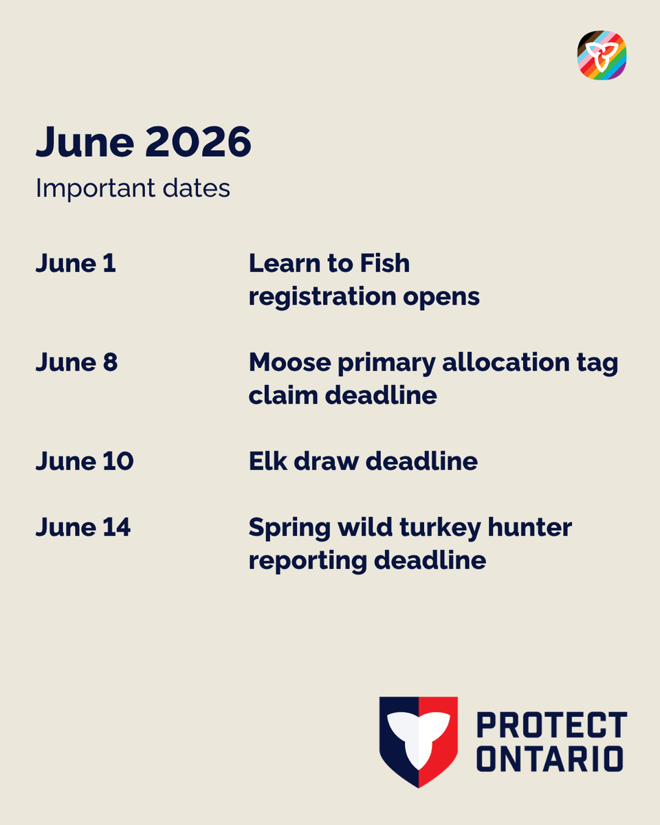 FishWildlifeON's tweet photo. Don’t miss these important June deadlines and opportunities.  

• June 1: Learn to Fish registration opens 
• June 8: Moose primary allocation tag claim deadline  
• June 10: Elk draw deadline   
• June 14: Spring wild turkey hunter reporting deadline  
 • June 15: Moose second chance allocation application period opens  
• June 20–21: Father’s Day free fishing weekend  
• June 22: Spring black bear non-resident hunter reporting deadline  
• June 27-July 5: Free Family Fishing Week  

To submit your hunter report or apply for draws, visit the link in our bio, or call 1-800-288-1155. You can also apply for draws in person at a licence issuer or participating ServiceOntario.