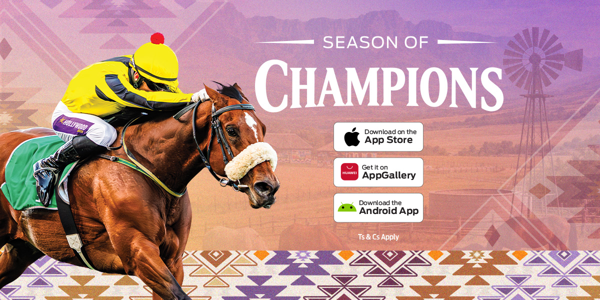Hollywoodbets tweet media