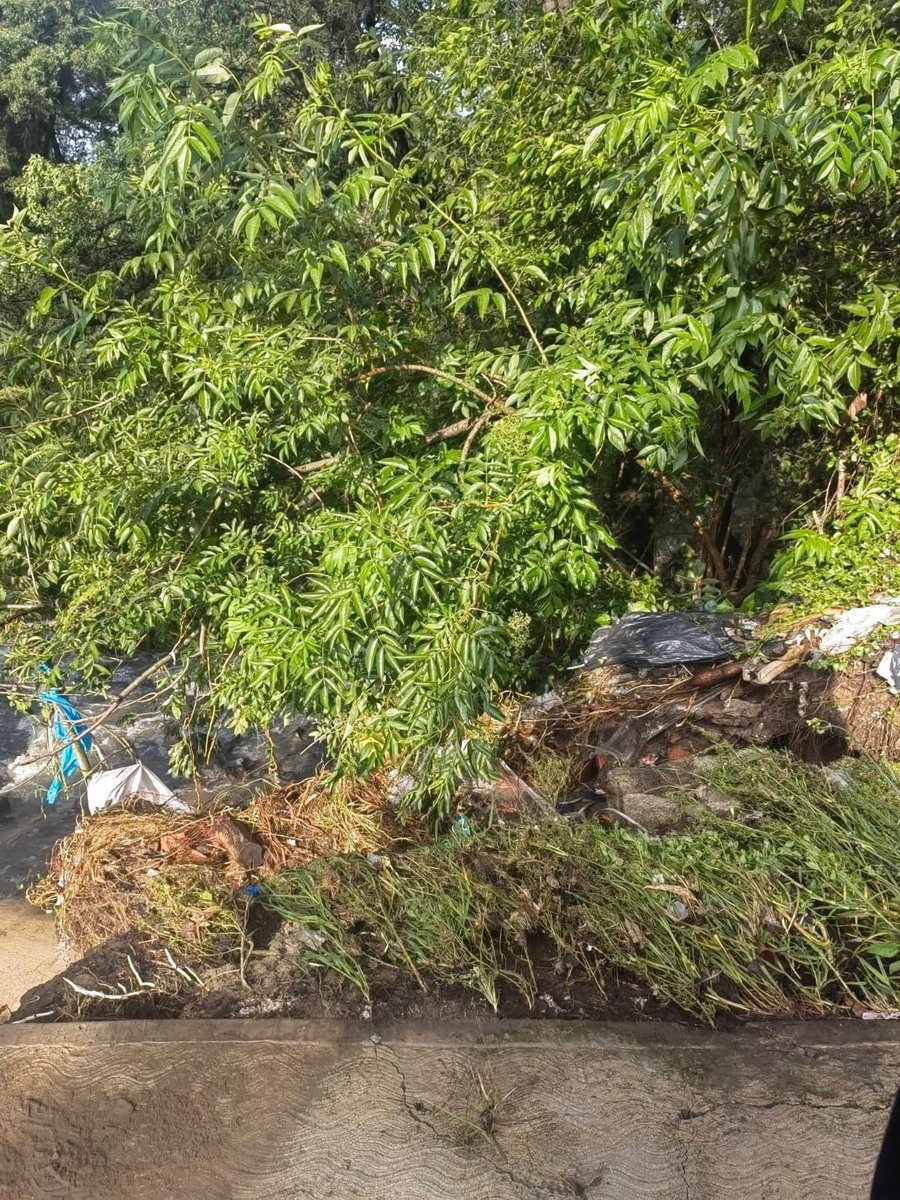CoracytNoticias's tweet photo. #ReporteCiudadano | 🌧️💨☔🌊  La fuerte corriente de agua provocada por la lluvia de anoche dejó residuos en la zona del puente del río en la comunidad de #Xaltocan, municipio de #Yauhquemehcan. https://t.co/Hpz9sMs3JO