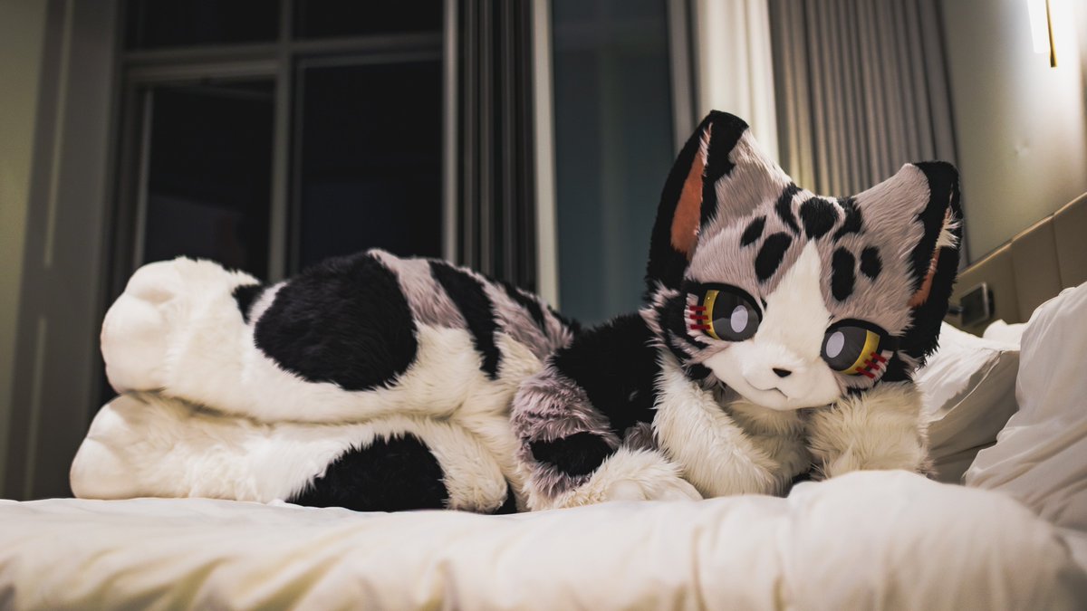 CheeseCat_fur's tweet photo. 人，你在干什么？
#FursuitEveryday #wwpass #起司猫 https://t.co/aHUiZFSZpE