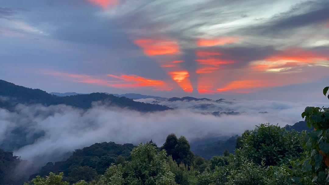 ParksInUganda's tweet photo. A PERFECT STAY AT KWETU SAFARI LODGE. 
Discover a peaceful sanctuary on the edge of the magnificent Bwindi Impenetrable National Park, where authentic African hospitality meets refined eco-luxury.
https://t.co/Xcwg8591ft https://t.co/ffWF8TegkI