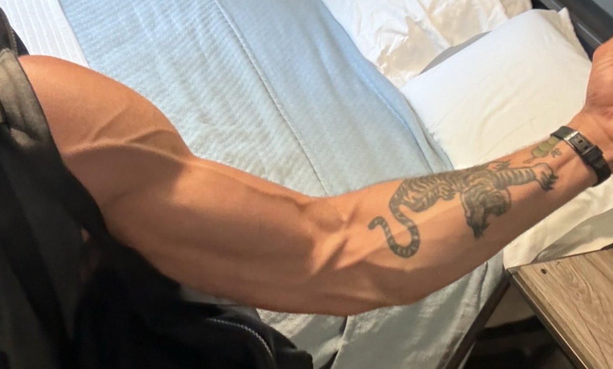 Natezr's tweet photo. biceps https://t.co/xwtMHhErwA