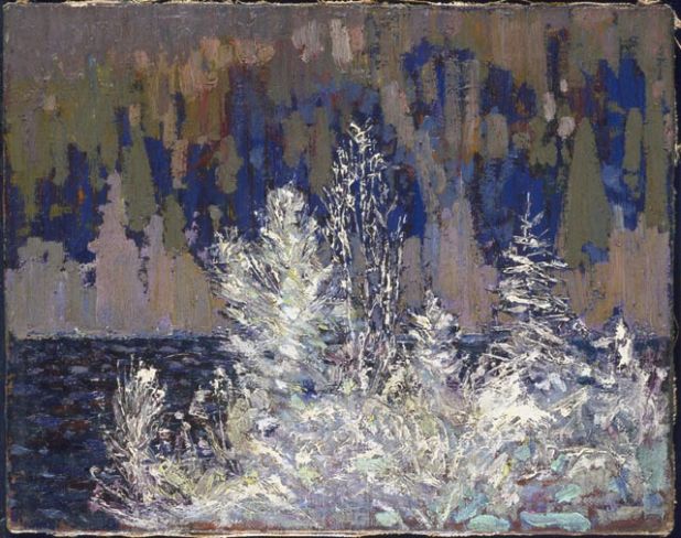 TTLastSpring's tweet photo. 1916 Frost-Laden Cedars. Oil on canvas 12 1/8 x 15 3/16 in. #tt1916 @NatGalleryCan https://t.co/iW9S8qgVz0