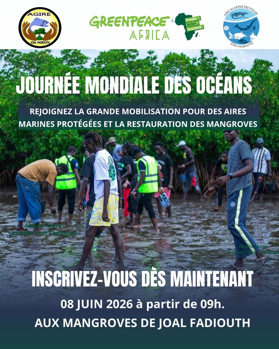 GreenpeaceAfrik's tweet photo. Vous êtes de Joal et ses environs ?

Rejoignez une mobilisation pour les aires marines protégées á l’occasion de la Journée mondiale des océans.  

Inscrivez-vous dès maintenant pour participer 
👉 https://t.co/FXxFIJ4YjW

8 juin 2026
À partir de 09h
📍Joal-Fadiouth https://t.co/dieJdYOCPc